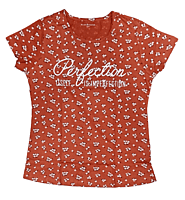 Women Perfection T-Shirt Women Perfection T-Shirt