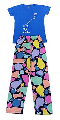 Women Blue Printed Set