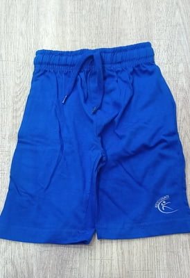 Boys shorts blue